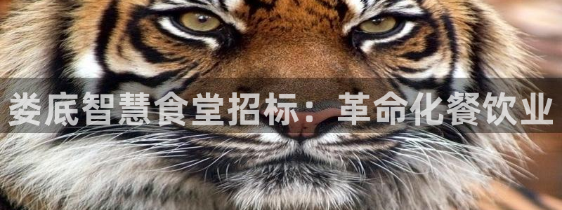 尊龙凯时登入首页