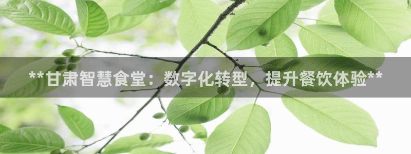 凯时效果怎么样