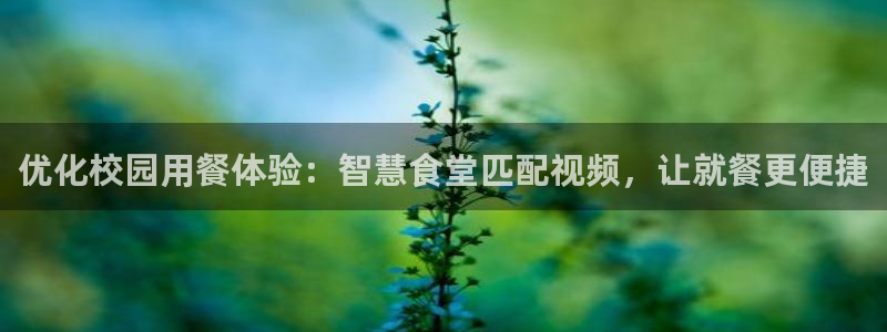 尊龙 贴吧