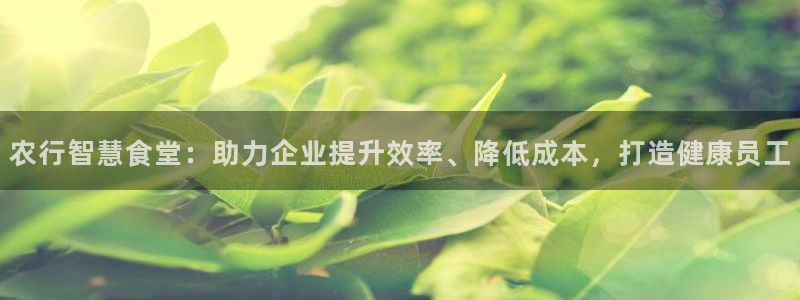 凯时app官网首页