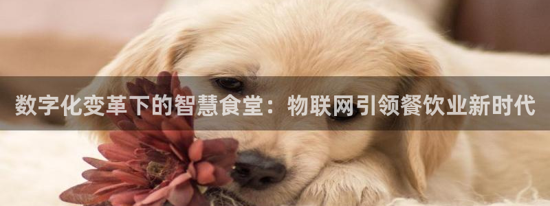 尊龙现金娱乐 下载