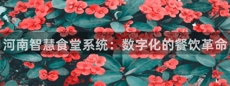 尊龙凯时 人生就是搏!