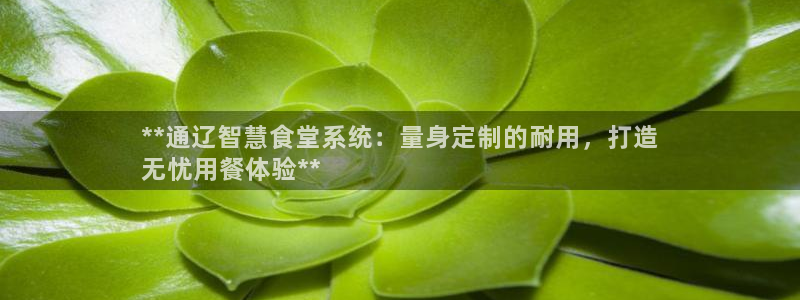 尊龙d88官网确来就送38：**通辽智慧食堂系统：量身定制的