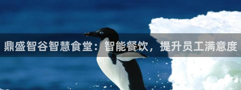 d88尊龙官网手机app