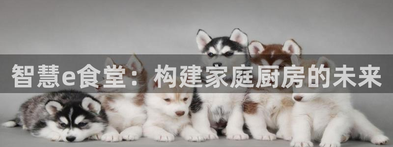 下载尊龙app