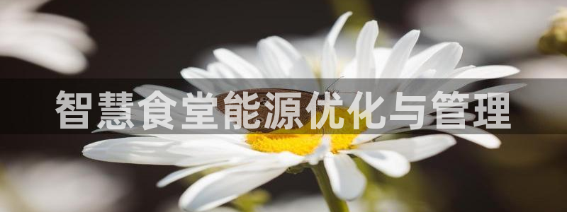 尊龙集团有限公司是国企吗